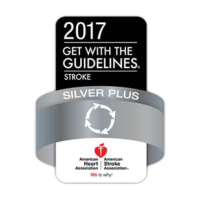 2017 Get With The Guidelines® Stroke - Silver Plus