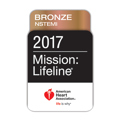 2017 Mission: Lifeline® - Bronze