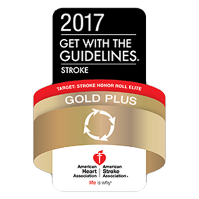 2017 Get With The Guidelines® Stroke - Gold Plus Honor Roll Elite