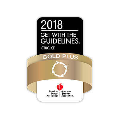 2018 Get With The Guidelines® Stroke - Gold Plus